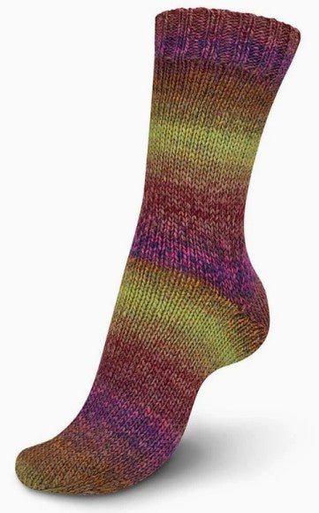 Regia Virtuoso - Mulled Orchard (Color #3078) - 150 Gram Skeins