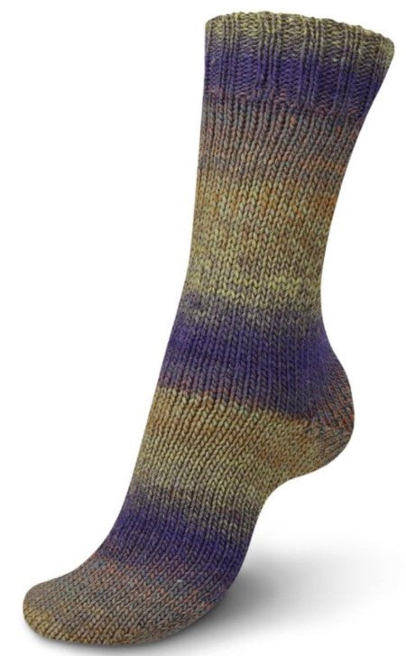 Regia Virtuoso - Autumn Twilight (Color #3082) - 150 Gram Skeins