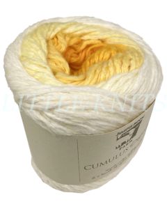 z Juniper Moon Farm Cumulus Degrade - Jasmine Chacha (Color #402) - FULL BAG SALE (5 Skeins)