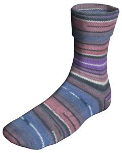 Berroco Sox - Flowerdale (Color #14109) on sale at 50% off at Little Knits
