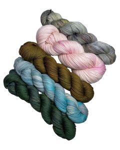 Dream in Color Hand-Dyed Yarn Mixed Bag - 5 Skeins Missing Labels