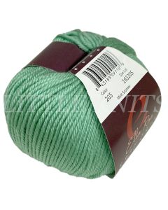 Ella Rae Cozy Soft CHUNKY - Mint Scooter (Color #205)
