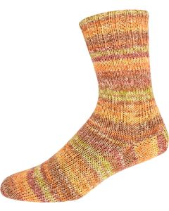Supersocke Cotton Stretch Style 347 - Citrus Brights (Color #2903) on sale at little knits